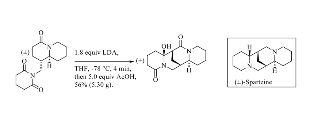 An efficient gram scale synthesis of (±)-Sparteine