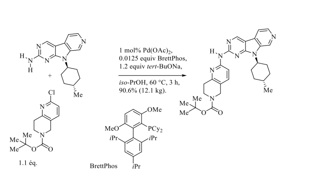 Palladium-catalyzed Buchwald-Hartwig amination