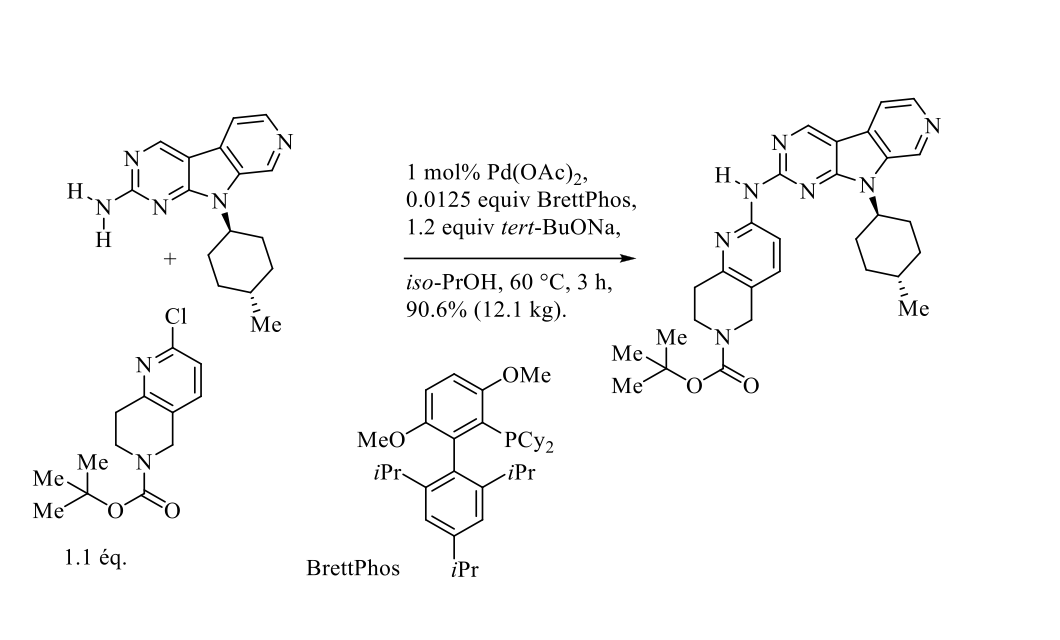 Palladium-catalyzed Buchwald-Hartwig amination - Atlanchim Pharma